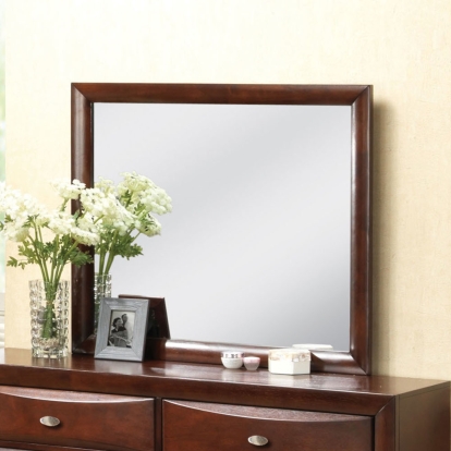 ACME Ireland Espresso Mirror Model 21454