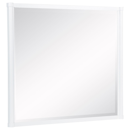 Coaster Gracemont Contemporary Dresser Mirror Model 225074