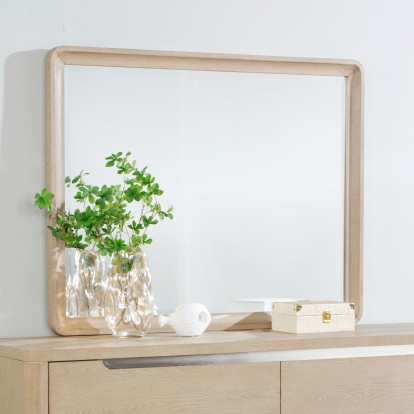 Coaster Ladera Contemporary Dresser Mirror Model 225084