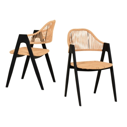 Modrest Gayle Modern Rattan Dining Chair Set of 2 Beige Dining Chair 79823Z VGFH-0117052-CR-DC