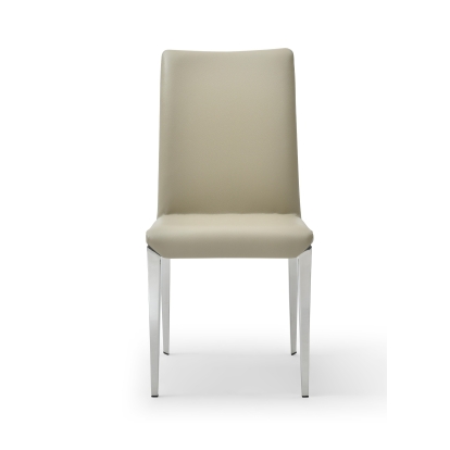 Modrest Taryn Modern Light Grey + Stainless Steel Dining Chair (Set of 2) Light Grey Dining Chair 81423Z VGVC-B803A-LTGRY