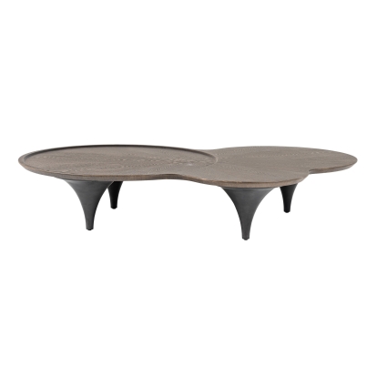 Modrest Beulah Modern Free Form Dark Ash Coffee Table Brown Coffee Table 81611 VGOD-LZ-319C-COF