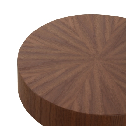 Modrest Larch Modern Walnut End Table Walnut End Table 83167 VGOD-LZ-339C-B