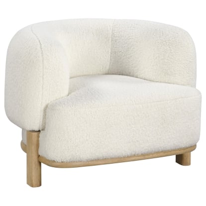 Coaster Lawler Contemporary Accent Chair Model 903169