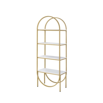 Acme Lightmane Bookshelf Model 92662