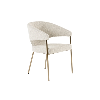 Modrest Claudine Modern Light Grey Fabric & Antique Brass Dining Chair Light Grey Dining Chair 81463 VGGAGA-6214CH-1-LTGRY-4