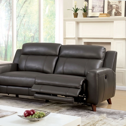 Furniture Of America Rosalynn Transitional Gray Sofa Model CM6804-SF