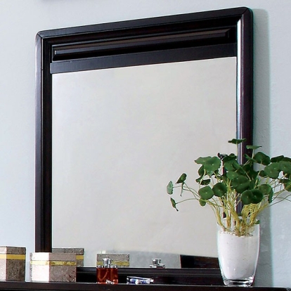 Furniture Of America Winsor Transitional Espresso Mirror Model CM7058M