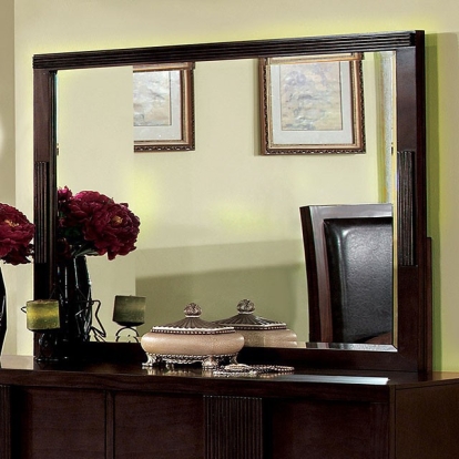 Furniture Of America Colwood Transitional Espresso Mirror Model CM7064M