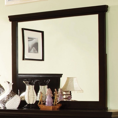 Furniture Of America Spruce Transitional Espresso Mirror Model CM7113EX-M