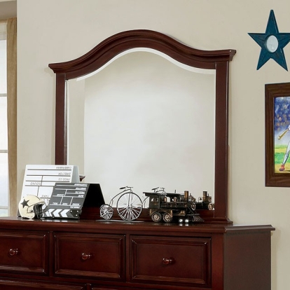 Furniture Of America Olivia Traditional Dark Walnut Mirror Model CM7155EX-M