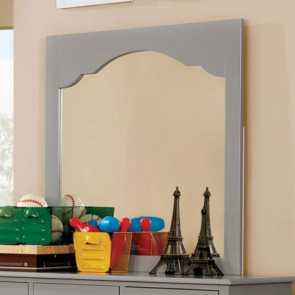 Furniture Of America Dani Transitional Gray Mirror Model CM7159WH-M-VN
