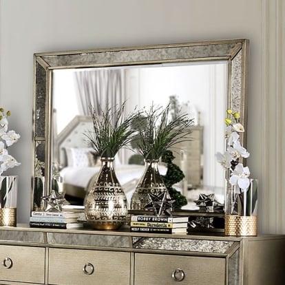 Furniture Of America Loraine Glam Champagne Mirror Model CM7195M