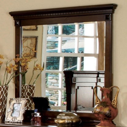 Furniture Of America Fortrose Traditional Antique Dark Oak Mirror Model CM7280M