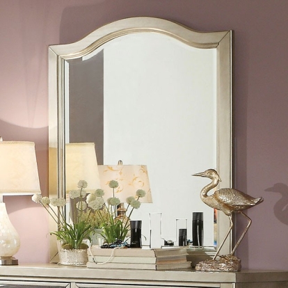 Furniture Of America Adeline Contemporary Silver Mirror Model CM7282M