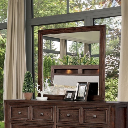 Furniture Of America Tywyn Transitional Dark Oak Mirror Model CM7365A-M