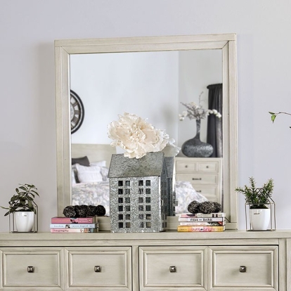 Furniture Of America Tywyn Transitional Antique White Mirror Model CM7365WH-M