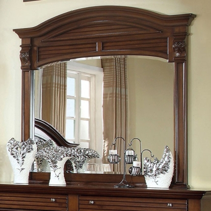 Furniture Of America Darius Transitional Antique Walnut Mirror Model CM7366M