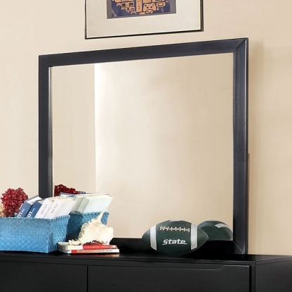 Furniture Of America Lennart Mid-Century Modern Black Rectangular Mirror Model CM7386BK-M