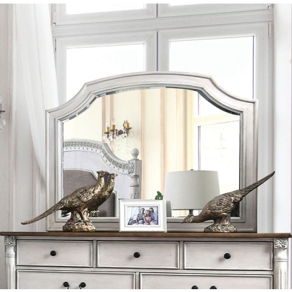 Furniture Of America Hesperia Transitional Antique White Mirror Model CM7441M