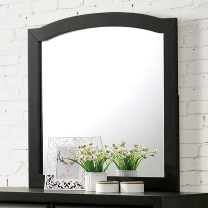 Furniture Of America Kirsten Transitional Charcoal Mirror Model CM7547GY-M