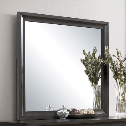 Furniture Of America Clotilde Transitional Antique Gray Mirror Model CM7553M