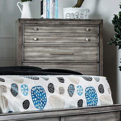 Furniture Of America Daphne Transitional Gray Chest Model CM7556C