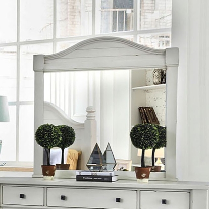 Furniture Of America Daria Transitional Antique White Mirror Model CM7562M