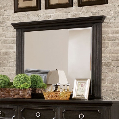 Furniture Of America Roisin Transitional Wire-Brushed Black Mirror Model CM7578M
