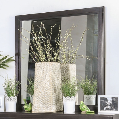 Furniture Of America Berenice Transitional Espresso Mirror Model CM7580EX-M