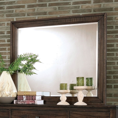 Furniture Of America Agapetos Transitional Walnut Mirror Model CM7581M