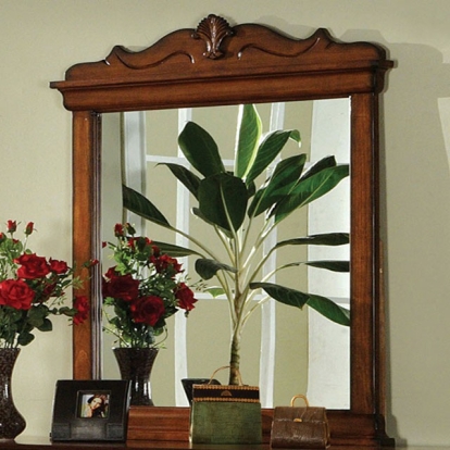 Furniture Of America Venice Transitional Dark Oak Mirror Model CM7650DK-M