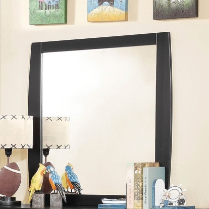 Furniture Of America Marlee Transitional Black Mirror Model CM7651BK-M-VN