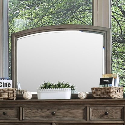 Furniture Of America Armus Transitional Wire-Brushed Gray Mirror Model CM7719M