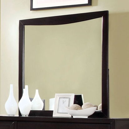 Furniture Of America Snyder Transitional Espresso Mirror Model CM7792EX-M