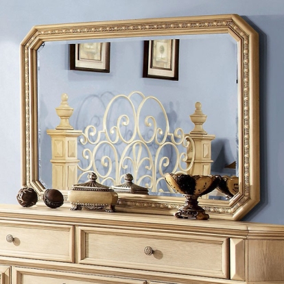 Furniture Of America Waldenburg Traditional Antique White Mirror Model CM7810M