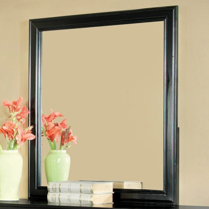 Furniture Of America Laurelle Transitional Black Mirror Model CM7815BK-M