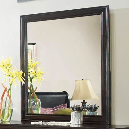 Furniture Of America Laurelle Transitional Espresso Mirror Model CM7815EX-M