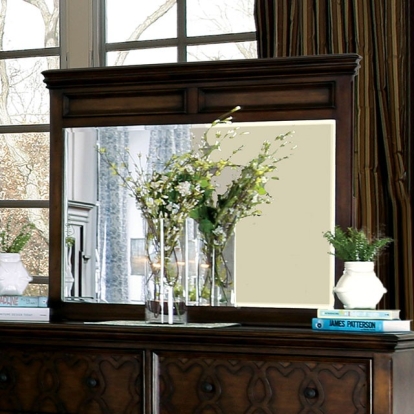 Furniture Of America Minerva Transitional Walnut Mirror Model CM7839M