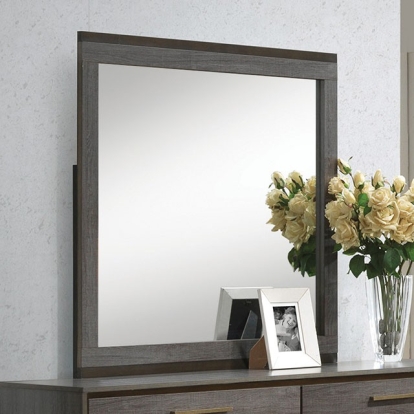 Furniture Of America Manvel Contemporary Two-Tone Antique Gray Mirror Model CM7867M