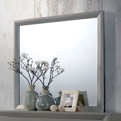 Furniture Of America Blythe Contemporary Silver Mirror Model CM7869M