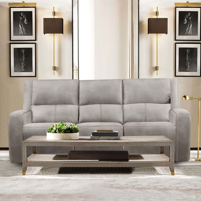 Furniture Of America Vasilios Transitional Taupe Power Sofa Model CM9914ST-SF-PM