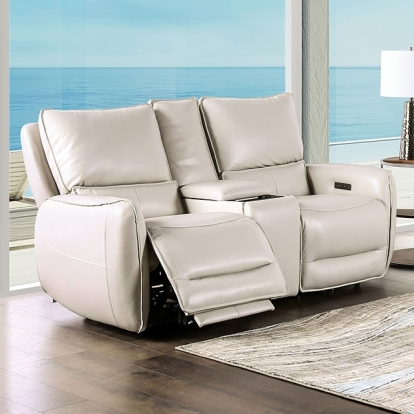 Furniture Of America Phineas Transitional Beige Power Loveseat Model CM9921ST-LV-PM