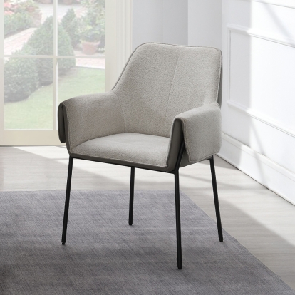 Acme Jirina Arm Chair (Set-2) Model DN03678