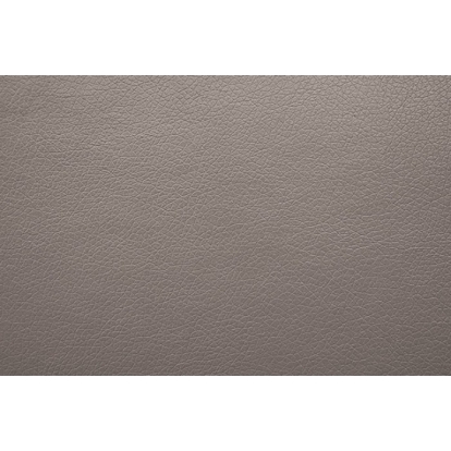 Furniture Of America Schlieren Contemporary Light Brown Power Loveseat Model FM6012LB-LV-PM