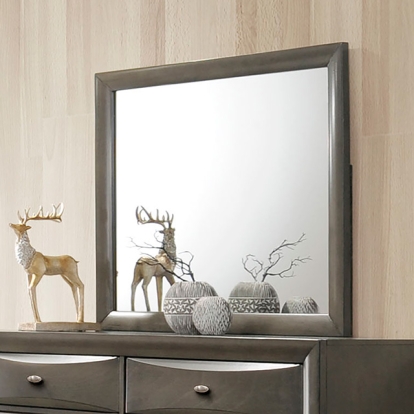 Furniture Of America Zosimo Transitional Gray Mirror Model FM7210GY-M