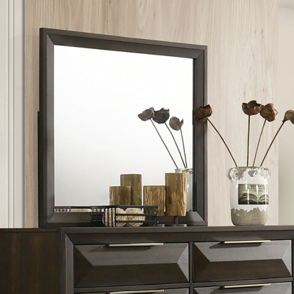 Furniture Of America Hexham Transitional Espresso Mirror W- Support Model FM7232BR-M