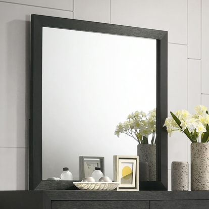 Furniture Of America Latimer Contemporary Black Mirror Model FM7270BK-M