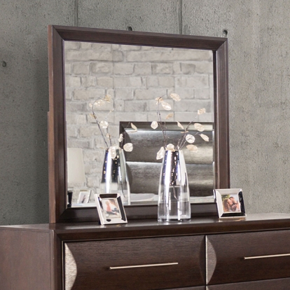 Furniture Of America Hinwitz Transitional Espresso Mirror Model FM7399ES-M