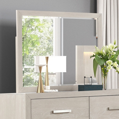 Furniture Of America Wellingborough Transitional Light Gray Mirror Model FM7703AK-M